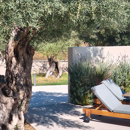 Villa Rizomata Luxury *