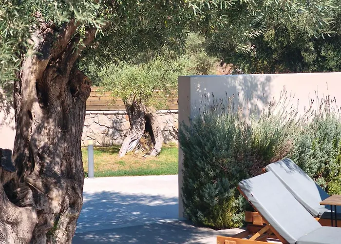 Willa Rizomata Luxury *